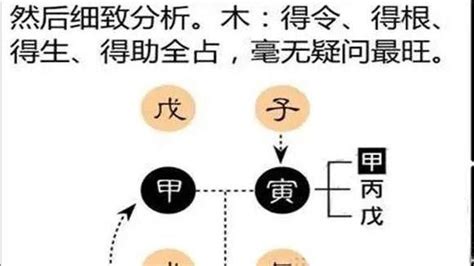 八字 强攻型|例如何判断八字的强弱